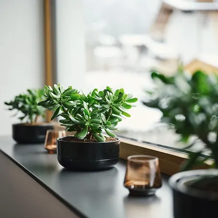 Сasa de vacaciones Am Wetterstein Ehrwald